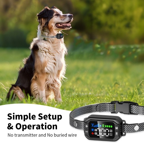 PetPlus F8 GPS Hundezaun PetPlus F8 GPS Hundezaun